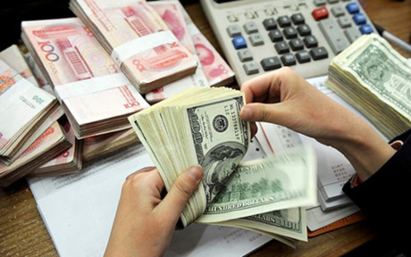 Nhung ky luc cua kinh te Viet Nam nam 2016 - Anh 5